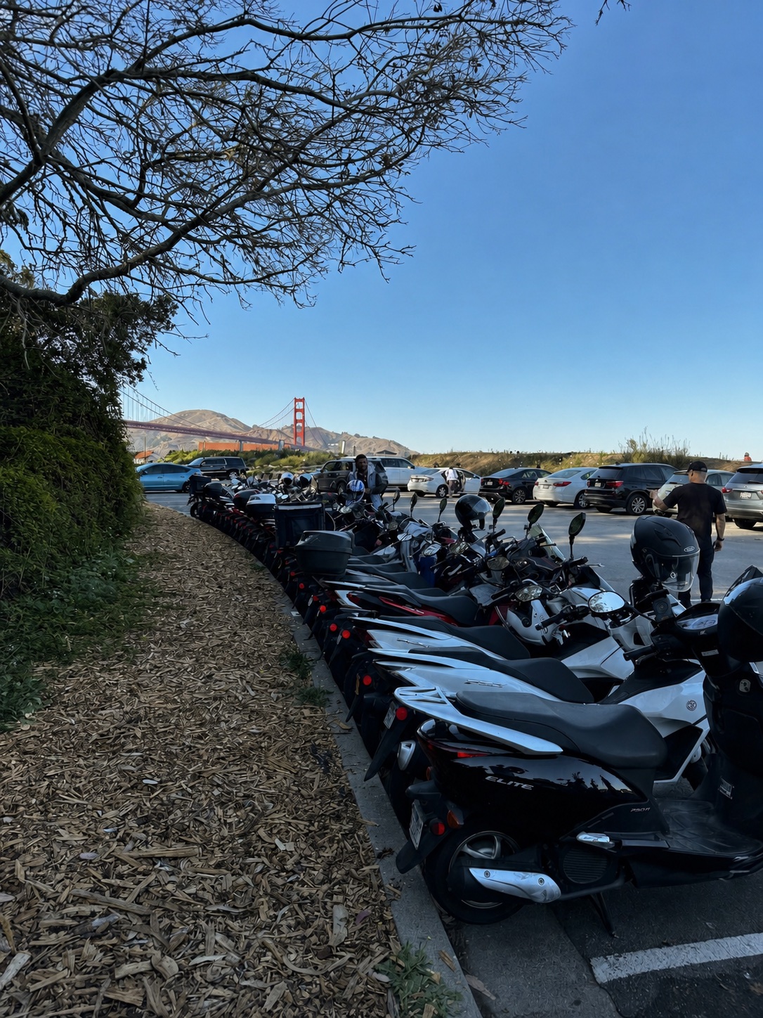 A long row of scooters with the Golden Gate Bridge in the distance