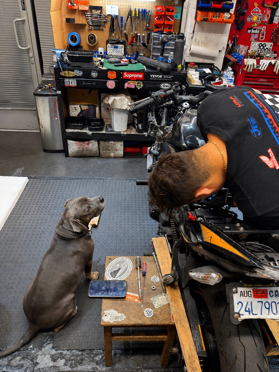 A Real Facts mechanic working on a motorcycle while the shop dog watches